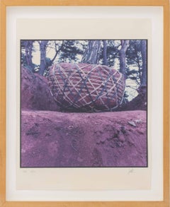 "Untitled (Boulder)", Signed Chromogenic Print in Colors