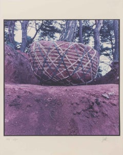 "Untitled (Boulder)", Signed Chromogenic Print in Colors