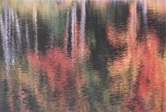 Reflejos otoñales en el río, fotografía contemporánea en color, impresión cromogénica