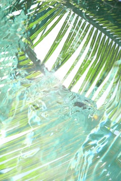 Piscina delle palme 2