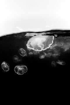 Bagnanti della luna