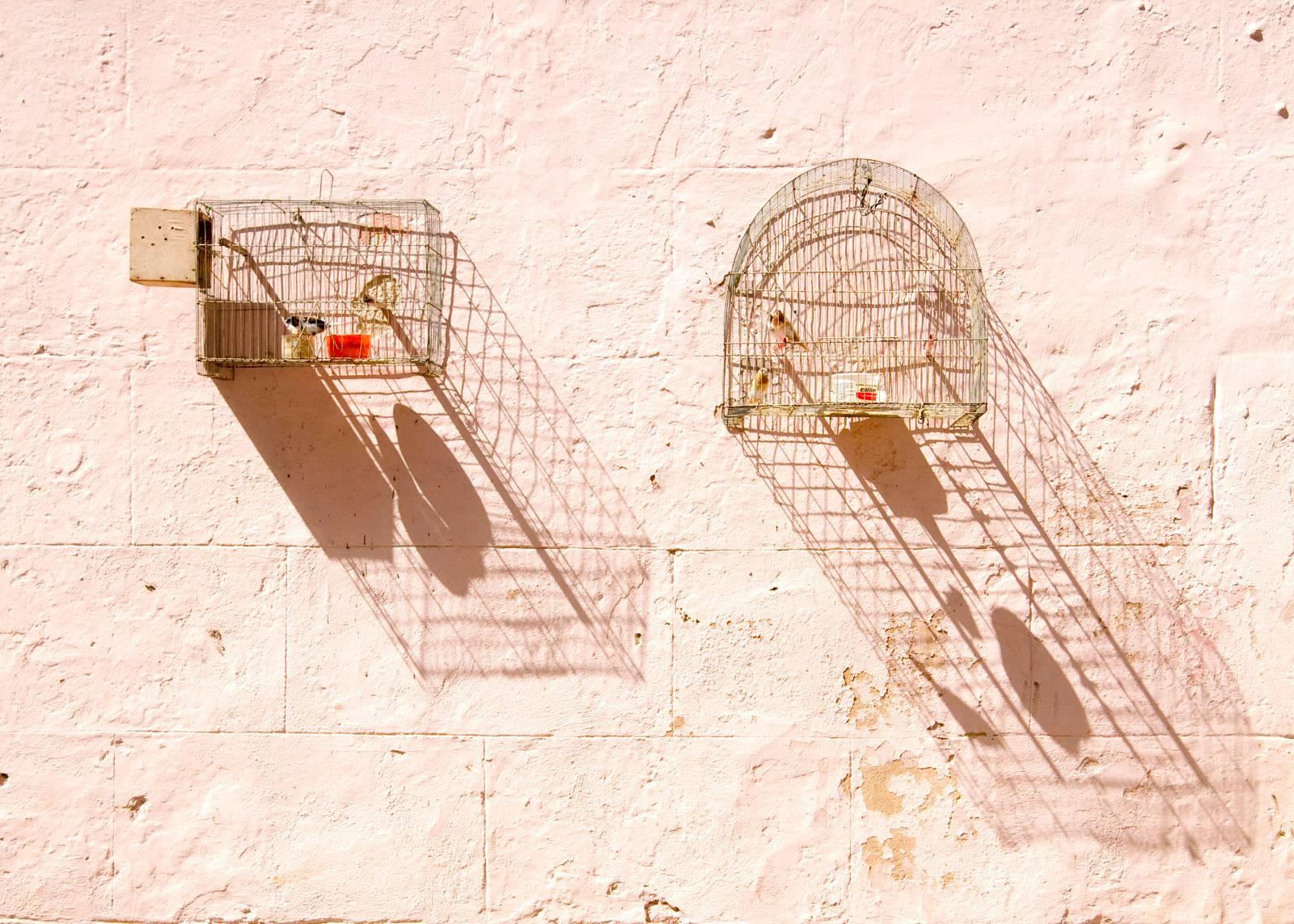 Geoff Reinhard Color Photograph - Bird Cages - Cuba