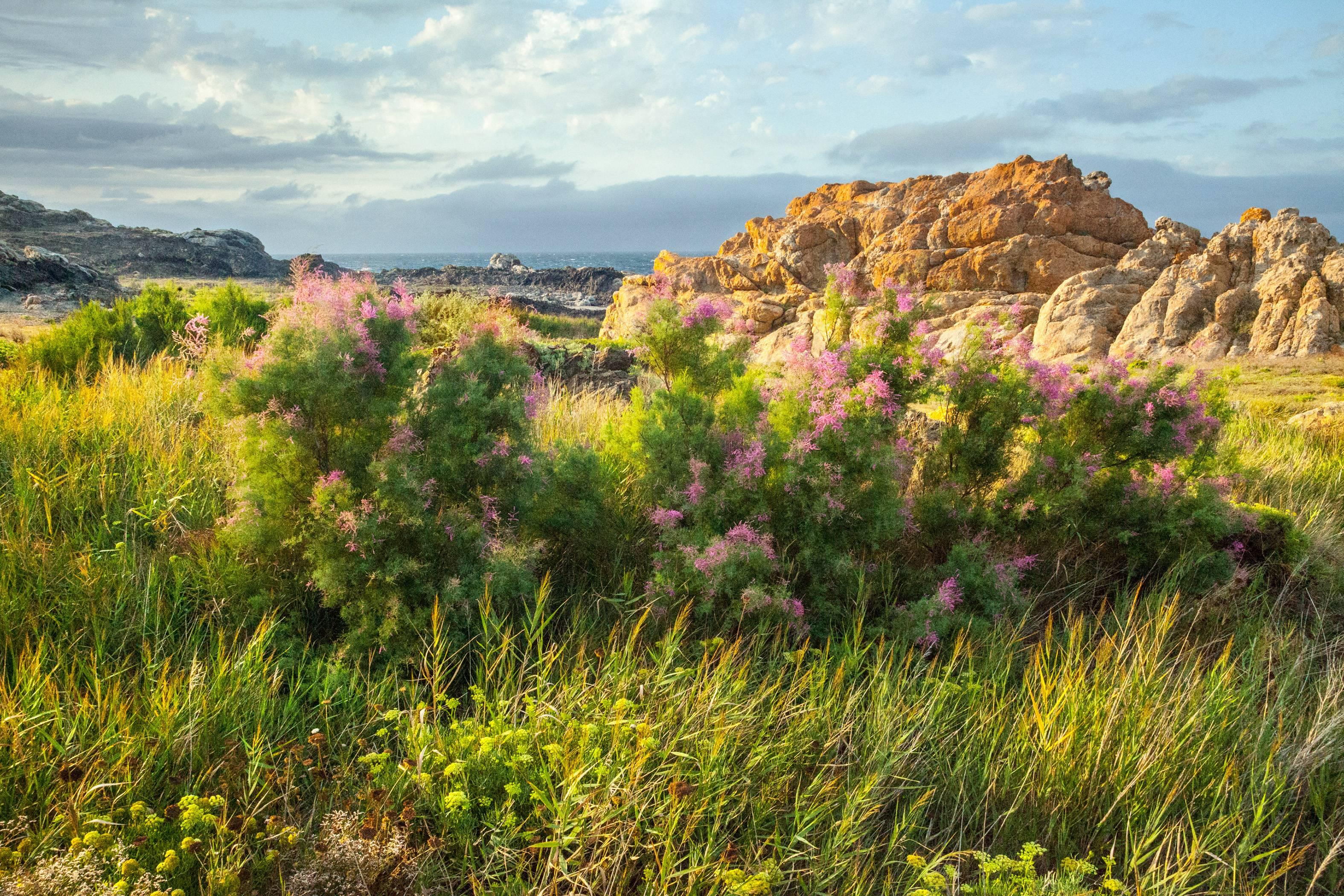 Gustavo Ten Hoever Landscape Photograph – Ich kann nicht sehen, was ich sehe