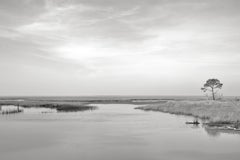 Brickhill Marsh