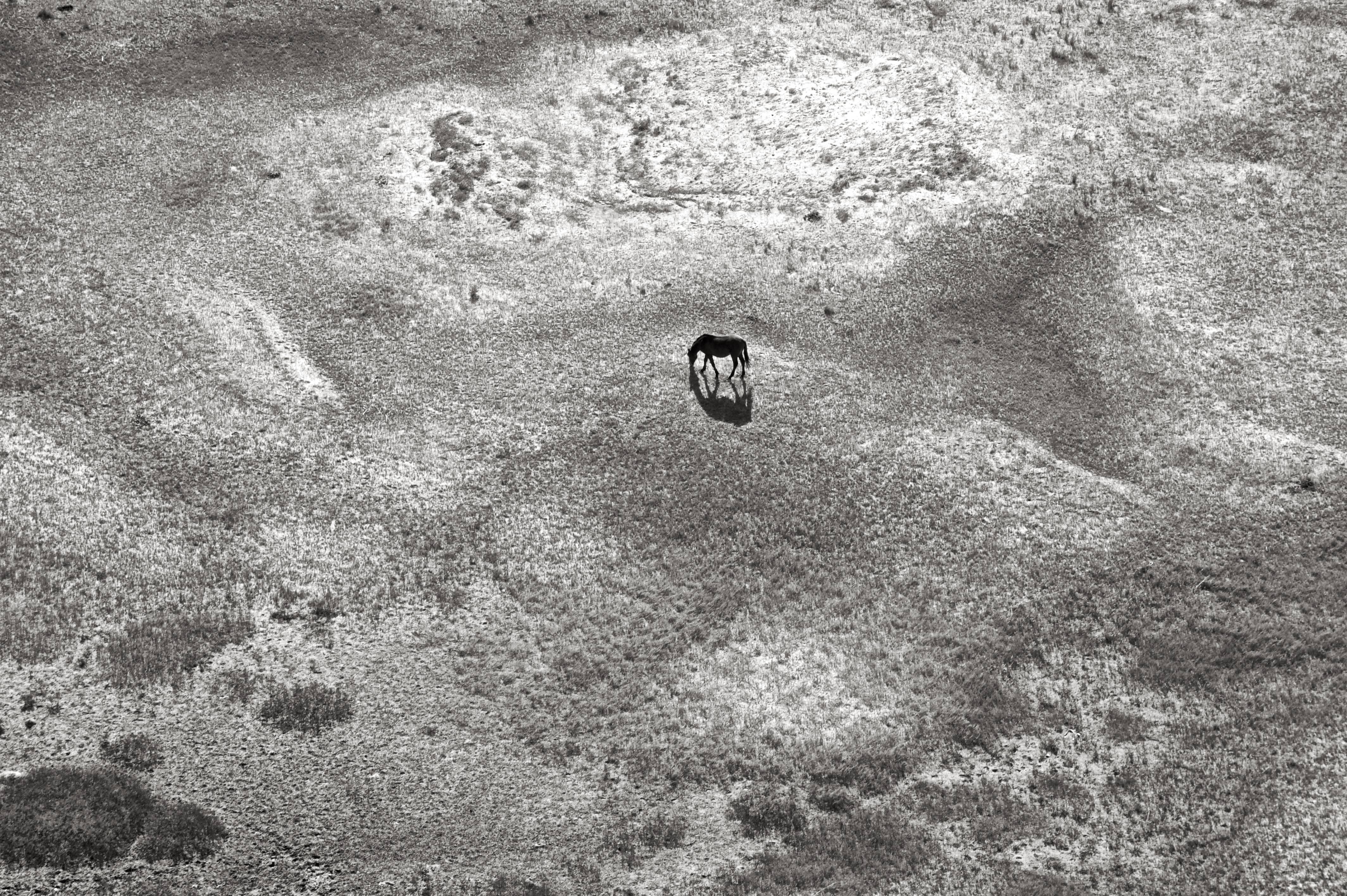 Anouk Krantz Landscape Photograph – Solitär