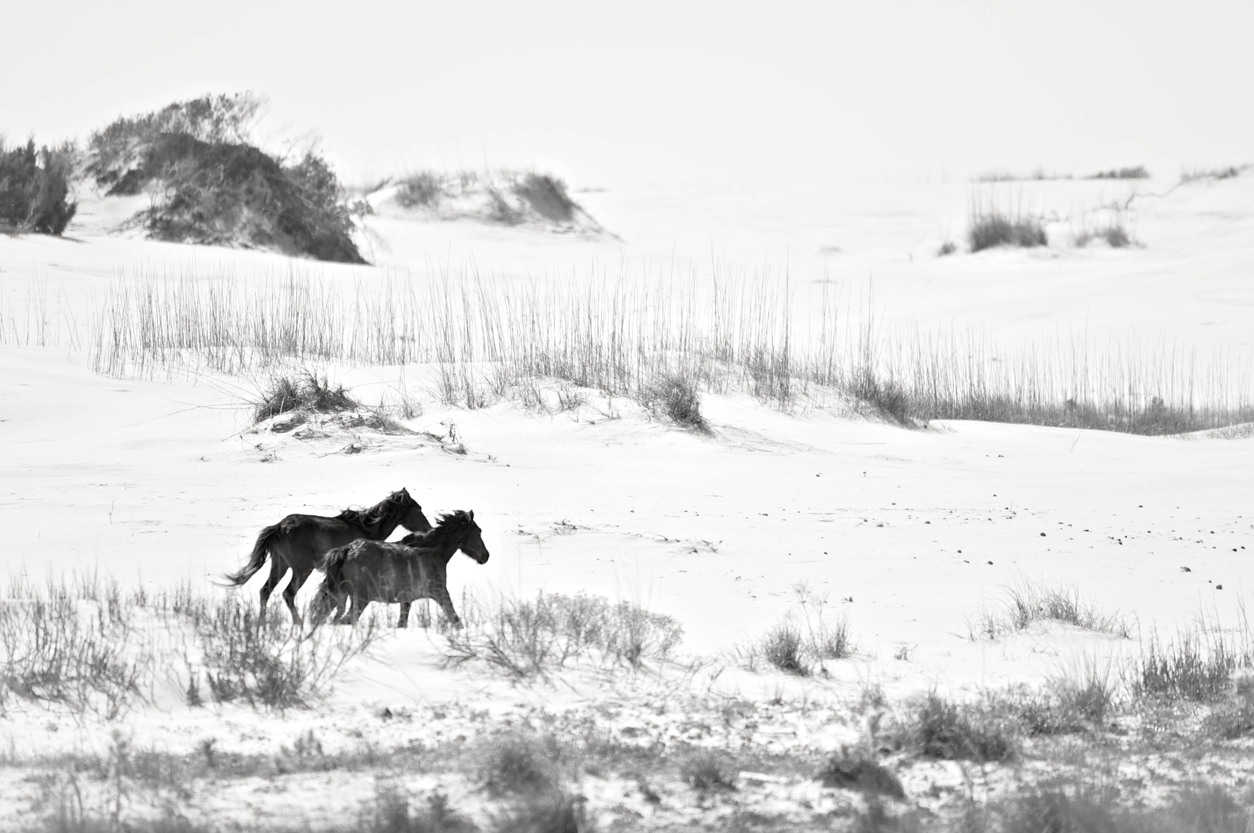 Anouk Krantz Black and White Photograph - Tryst