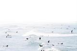 Venice 16