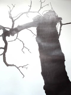 Not Only the visible Universe