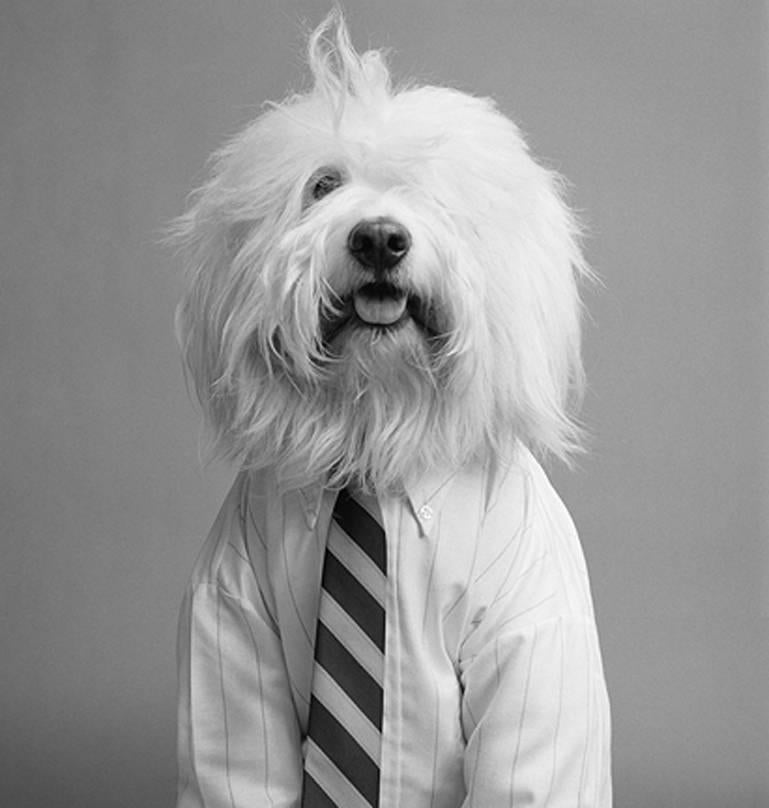 William Helburn Black and White Photograph – Heuby, Van Heusen