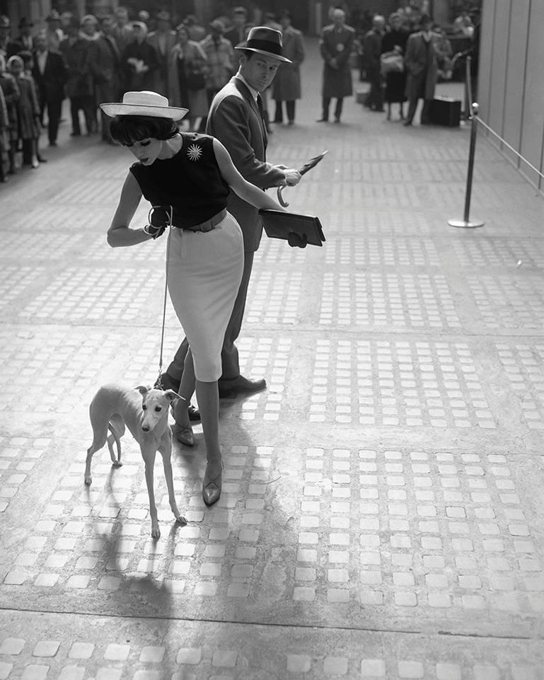 Simone D'Aillencourt with Whippet, Penn Station, 1959 - Photograph by William Helburn