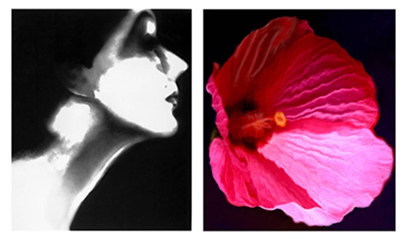 Lisa Fonssagrives, Harper's Bazaar and Flower 28 (Pink Mallow) - Photograph by Lillian Bassman