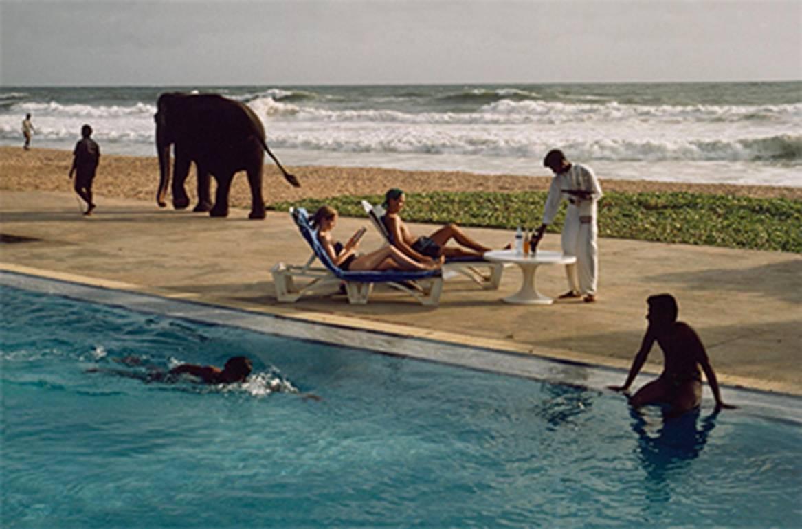 Tourists Lounge Poolside, Sri Lanka