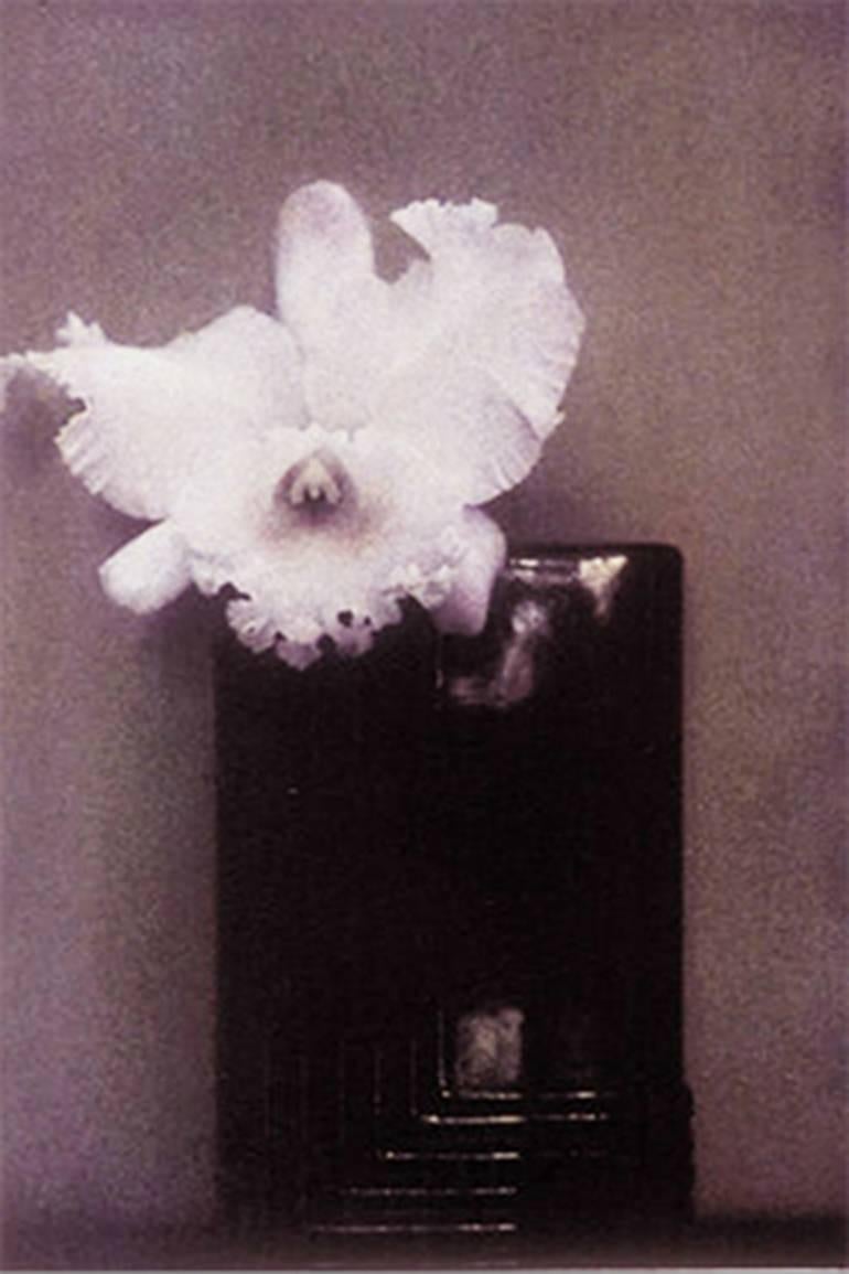 Sheila Metzner Color Photograph - Mondrian Orchid