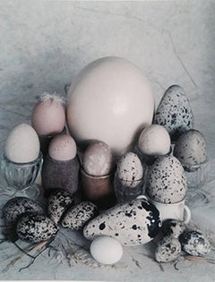 Vintage Eggs