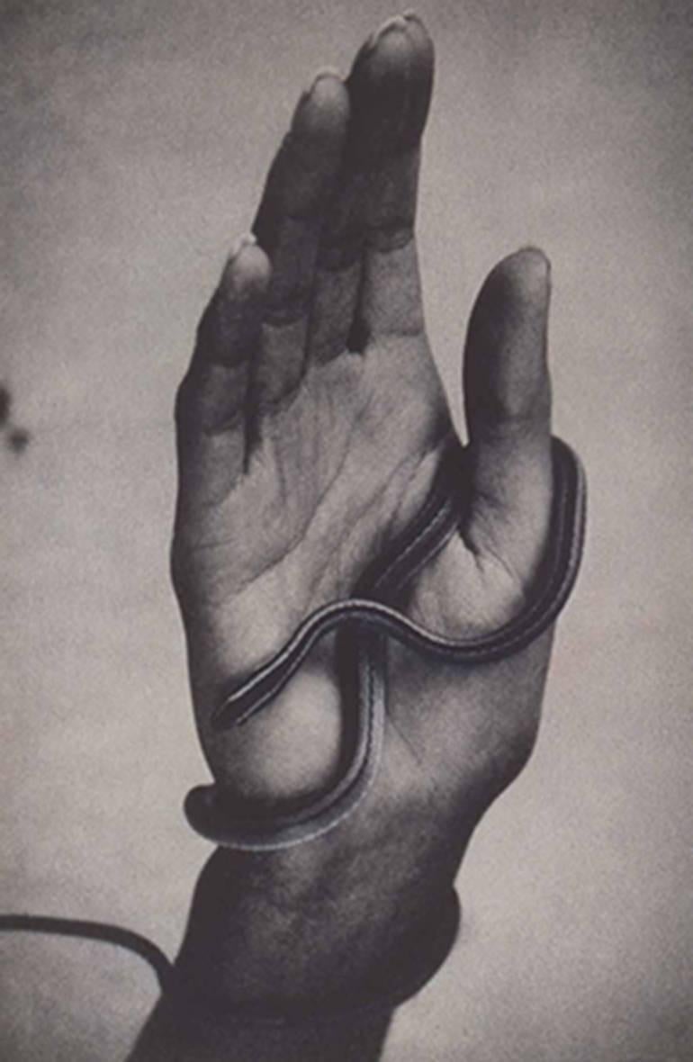 Sheila Metzner Black and White Photograph - Hand with Snake