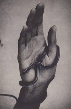 Hand with Snake