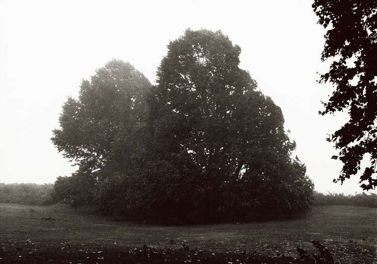 Priscilla Rattazzi Black and White Photograph - Hurricane Bob, the Beginning, East Hampton