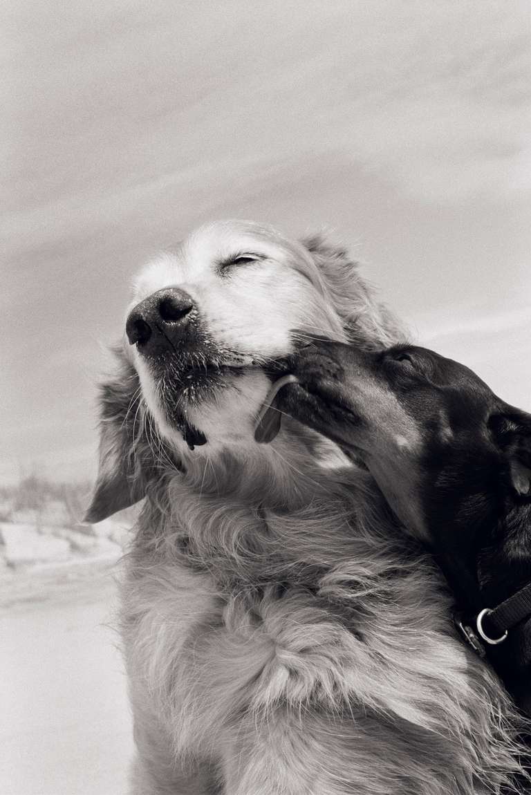 Priscilla Rattazzi Black and White Photograph - The Kiss, East Hampton