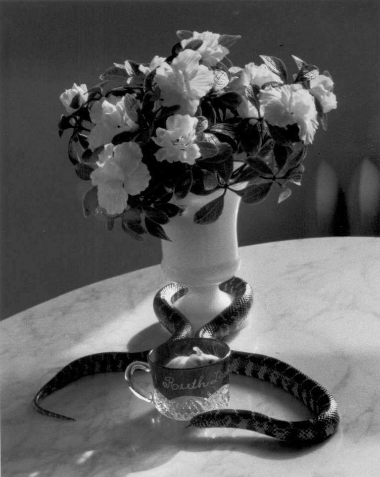 Still Life with Flowers and Snake, New York - Photograph by Andre Kertesz