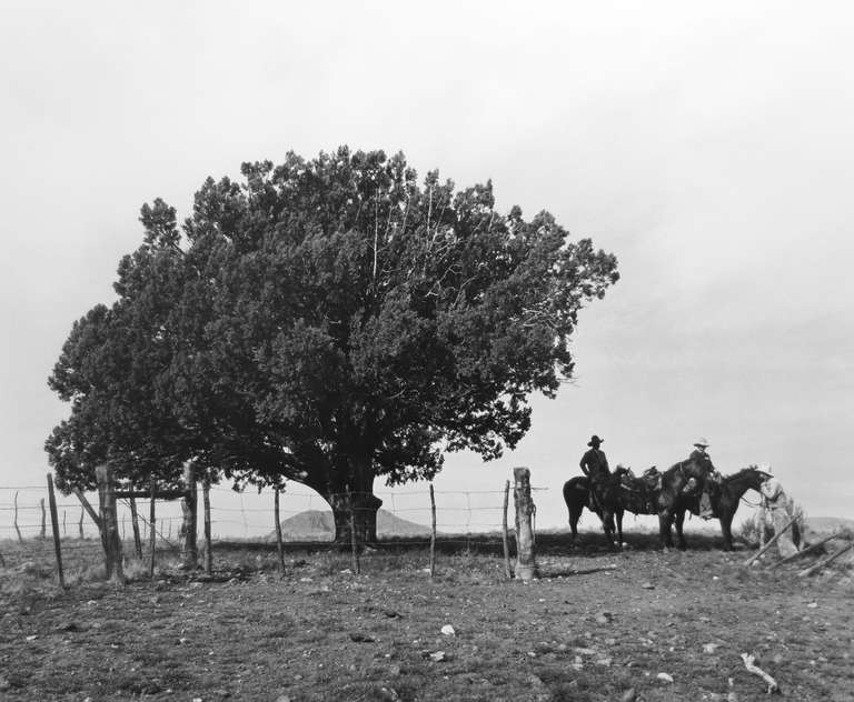Kurt Markus - Oro Ranch, Prescott, Arizona For Sale at 1stDibs | oro ...