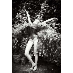 Butterfly, 2012 10
