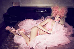 Pink Poodle, 2012 3