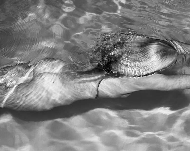 Michael Dweck Black and White Photograph - Mermaid 1: Amagansett, New York