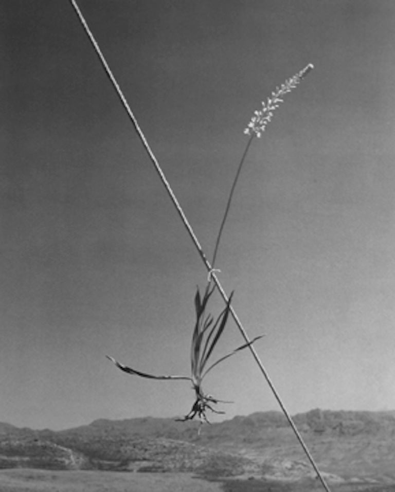 Horst P. Horst Black and White Photograph – Hocker auf einem Zeltdekorateur, Quradaq, Iran