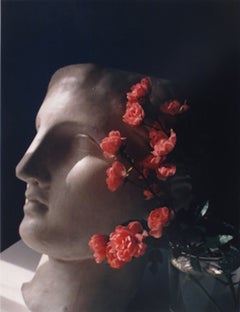 Roses avec tête d'ancienne