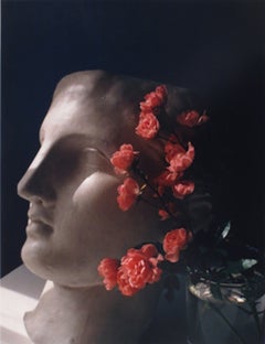 Roses with Antique Head