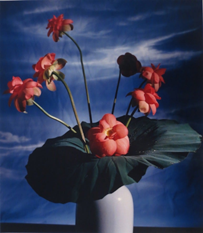 Horst P. Horst Color Photograph - Lotus Blossom