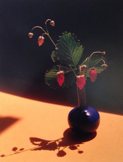 Blaue Vase aus Erdbeer