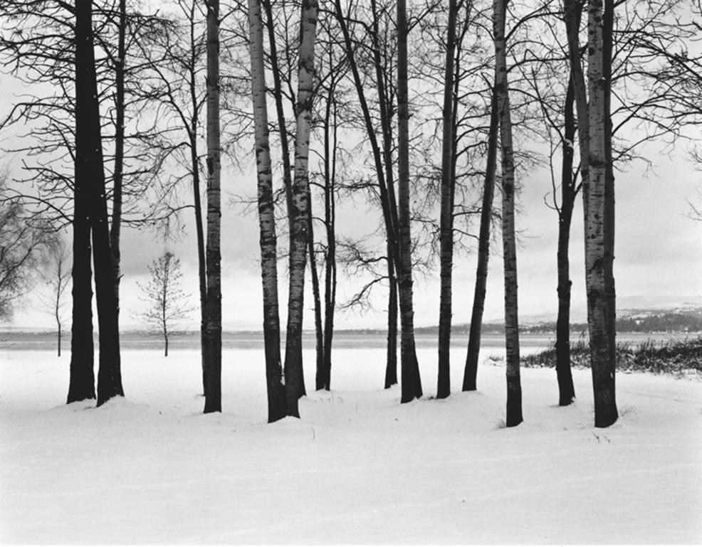 Kurt Markus Black and White Photograph - Flathead Valley, Montana