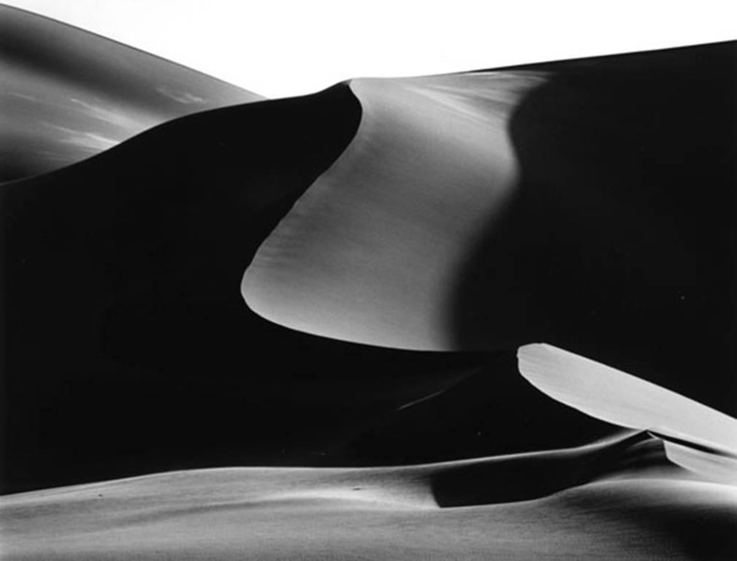 Kurt Markus - Dunes, Namibia For Sale at 1stDibs