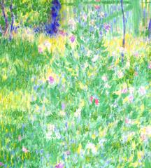 Summer Garden with Sweet Peas, Giverny
