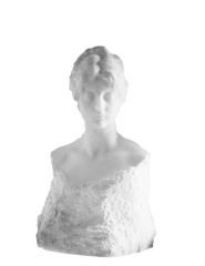 Bust of a Beauty