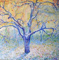 Blue Tree in Winter, Butler’s garden, Giverny