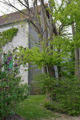 Blue Tree in Fall, Butler's garden in Giverny