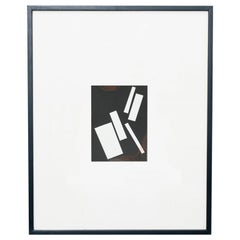 "Contemporary Rayography 1/1" di Adrian, incorniciata, carta, legno, vetro, 2013