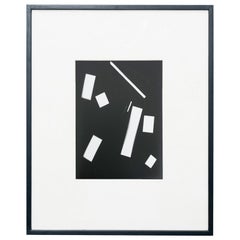 Rayografia astratta contemporanea in bianco e nero, incorniciata, 1/1 di Adrian, 2013