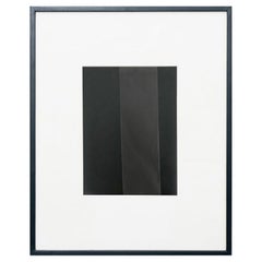 Rayografia astratta contemporanea in bianco e nero, incorniciata, 1/1 di Adrian, 2013
