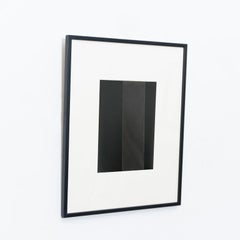 Rayografia astratta contemporanea in bianco e nero, incorniciata, 1/1 di Adrian, 2013