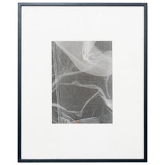 Rayografia astratta contemporanea in bianco e nero, incorniciata, 1/1 di Adrian, 2013
