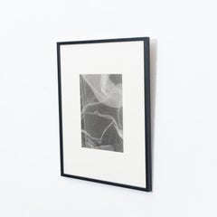 Rayografia astratta contemporanea in bianco e nero, incorniciata, 1/1 di Adrian, 2013