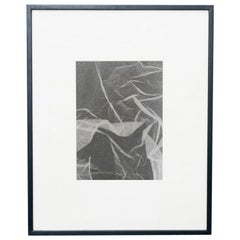 Rayografia astratta contemporanea in bianco e nero, incorniciata, 1/1 di Adrian, 2013