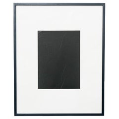 Contemporary Black and White Abstract Framed Rayography 1/1 by Adrian 2013