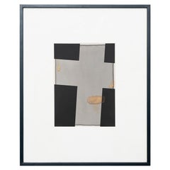 Contemporary Black and White Abstract Framed Rayography 1/1 by Adrian 2013