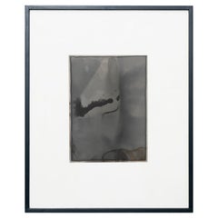 Contemporary Black and White Abstract Framed Rayography 1/1 by Adrian 2013