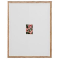 David Urbano Fotografia Contemporanea il Giardino delle Rose No 47
