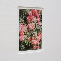 David Urbano Fotografia Contemporanea il Giardino delle Rose No 47